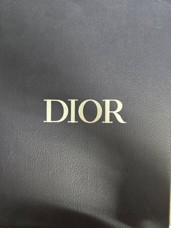 The Dior B23 Low Top Sneakers-Mens